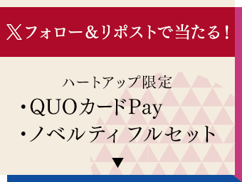 フォロー＆リポストでもらえる！QuoカードPay／ノベルティフルセット