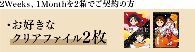 2Weeks、1Monthlyを2箱でご契約の方 ・お好きなクリアファイル2枚