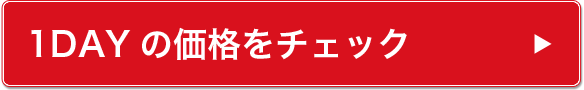 1DAYの価格をチェック