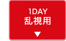 1DAY乱視用