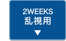 2weeks乱視用